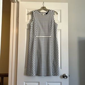 Professional fit and flare Ann Taylor dress